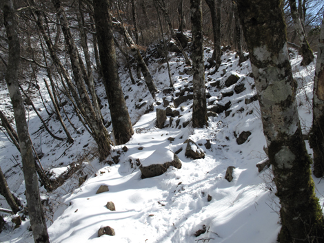 20160218hike (180)
